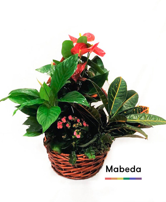 Cesta de Flores en Madrid